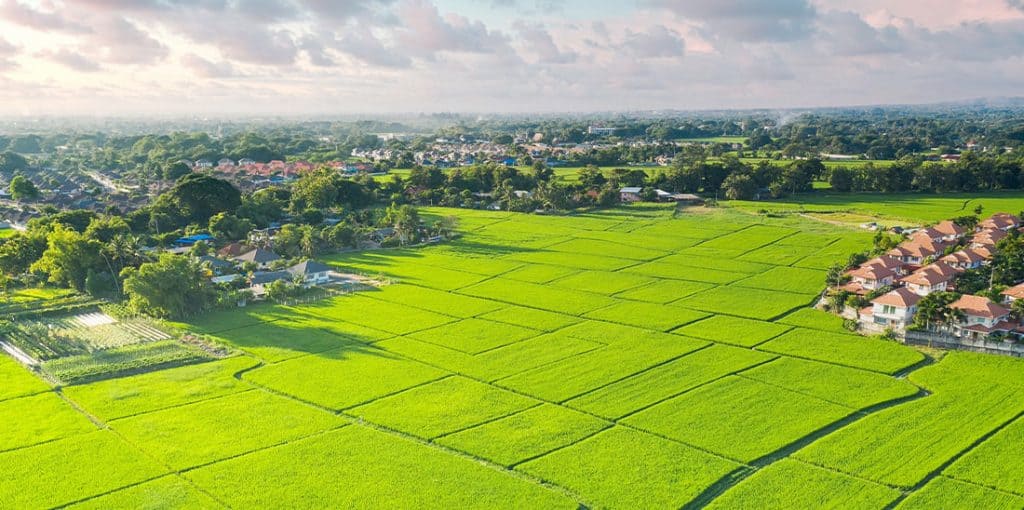 What Makes Land Banking Different in 2025